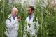 Tomatos Genome Sequence Finally Cracked!